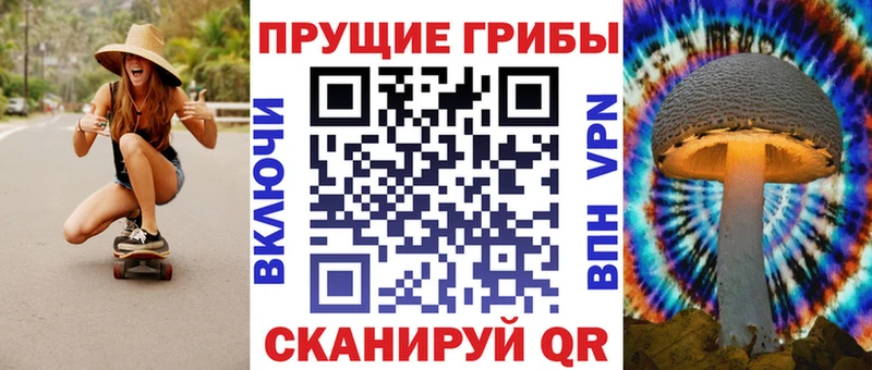 Галлюциногенные грибы Psilocybine cubensis  Алушта 